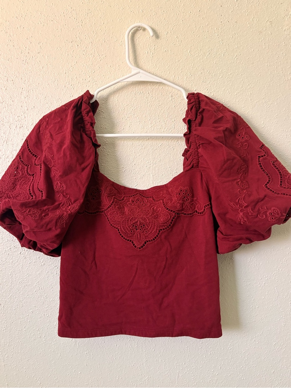 Express Burgundy Puff Sleeve Embroidered Crop Top